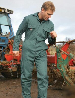 Dickies redhawk economy stud front coverall,royal large