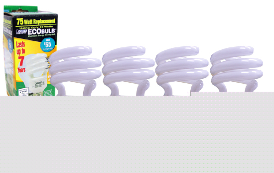 13 watt fluorescent energy saving light bulb (4 pack)