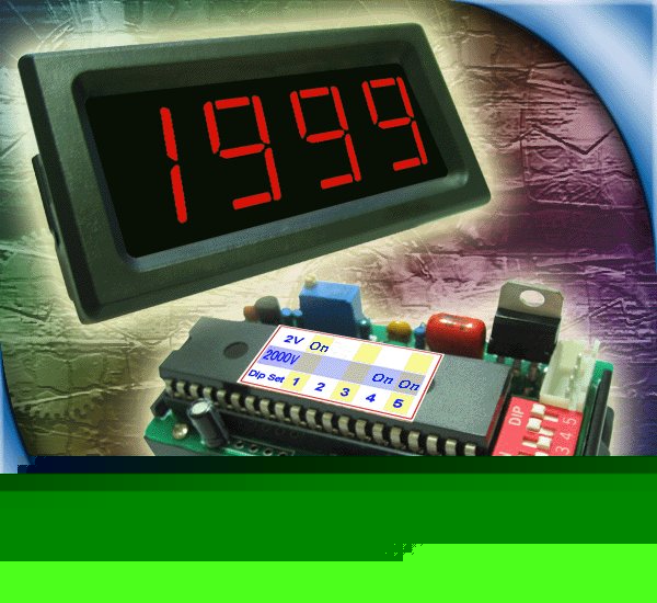 2000VDC red led dual panel meter voltmeter + regulator