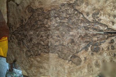 Walnut burl veneer 8 @ 8'' x 17'' [0874]