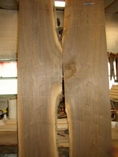 Giant black walnut bookmatched lumber,19 