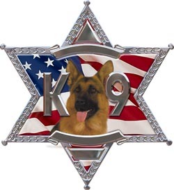 Sheriff decal reflective 6