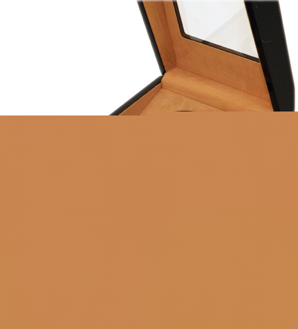 Black (2) + 3 automatic watch winder box battery or ac
